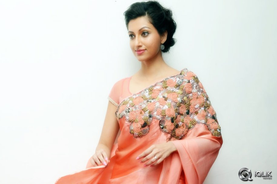 Hamsa-Nandini-at-Legend-Audio-Launch